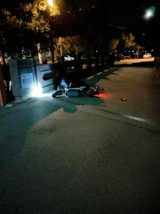 安能物流员工奋勇跳河救人，彰显大爱与责任担当！