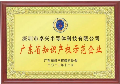 卓兴：以技术驱动为先，回顾2024半导体智造成果