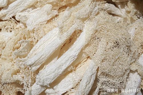 介绍山珍之一竹荪的营养成分和食用价值