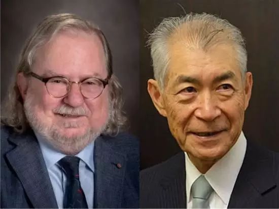 免疫疗法可**癌！2018年诺贝尔生理学或医学奖带来福音！