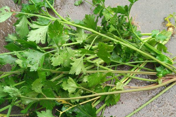 宵夜吃什么好 如何正确的吃宵夜