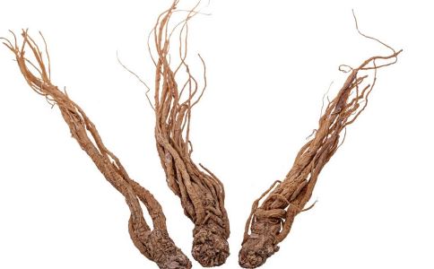 当归的**与作用有哪些 能天天吃吗