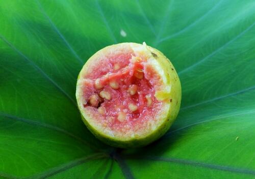 吃软还是吃硬的芭乐（番石榴）怎么吃？籽可以吃吗？**与作用禁忌有哪些？