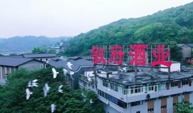 叙府酒业：品质与创新引领白酒新时代